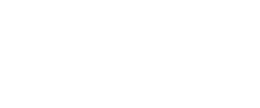 partner icon