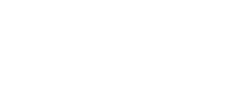 partner icon