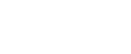 partner icon