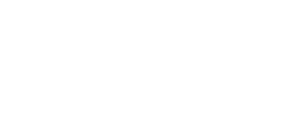 partner icon