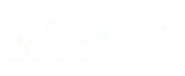 partner icon